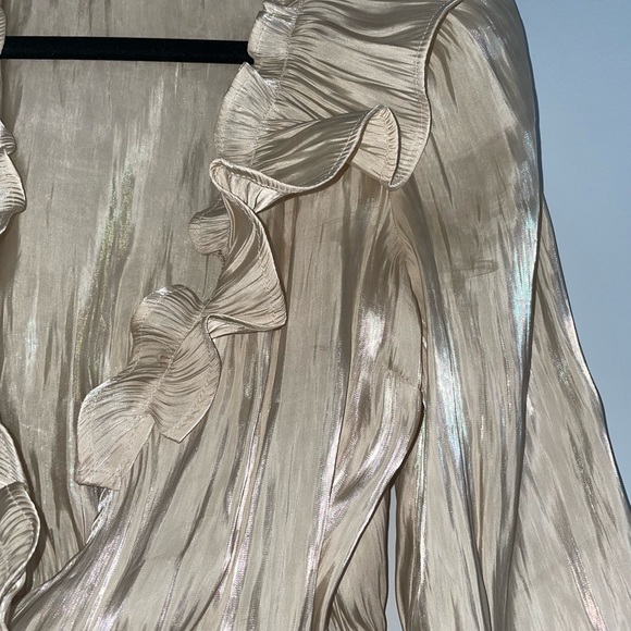 iridescent gold blouse - Picture 2 of 4